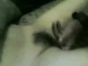 Star du porno lubrique suce ta bite