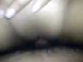 Deux poussins avec ânes intelligents et Negro